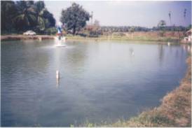 Galleria The Purchase of Agricultural Land – the Pond for fish farming